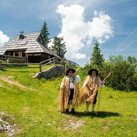 Chalet Tisa Velika Planina Stahovica Exterior foto