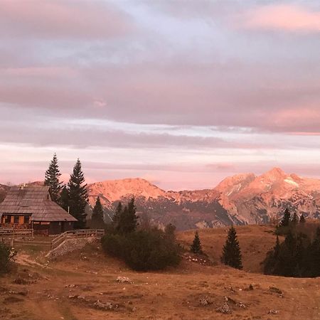Chalet Tisa Velika Planina Stahovica Exterior foto