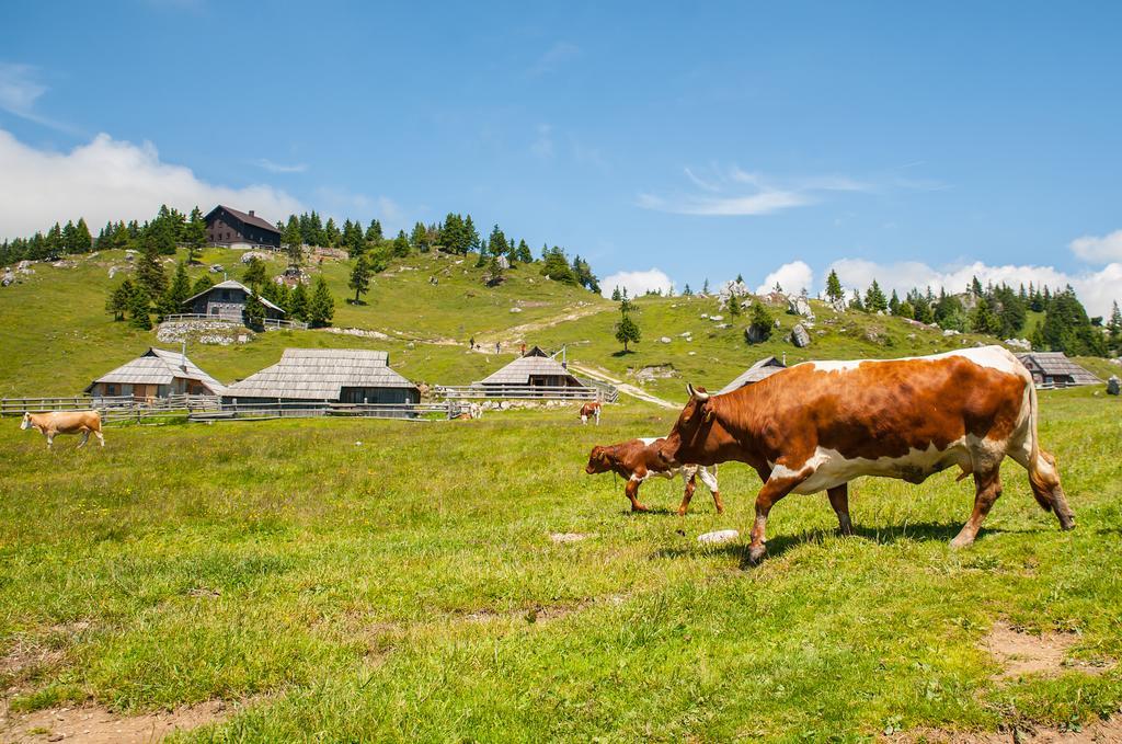 Chalet Tisa Velika Planina Stahovica Habitación foto