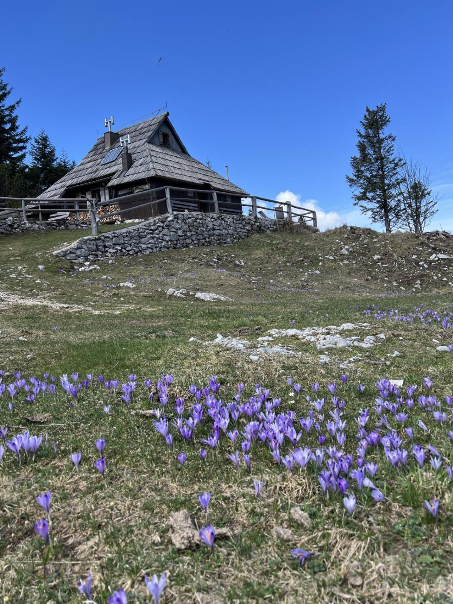Chalet Tisa Velika Planina Stahovica Exterior foto