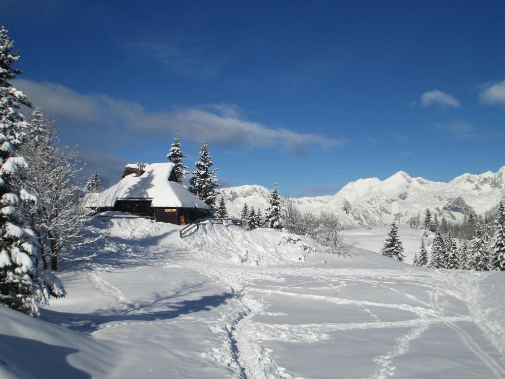 Chalet Tisa Velika Planina Stahovica Habitación foto