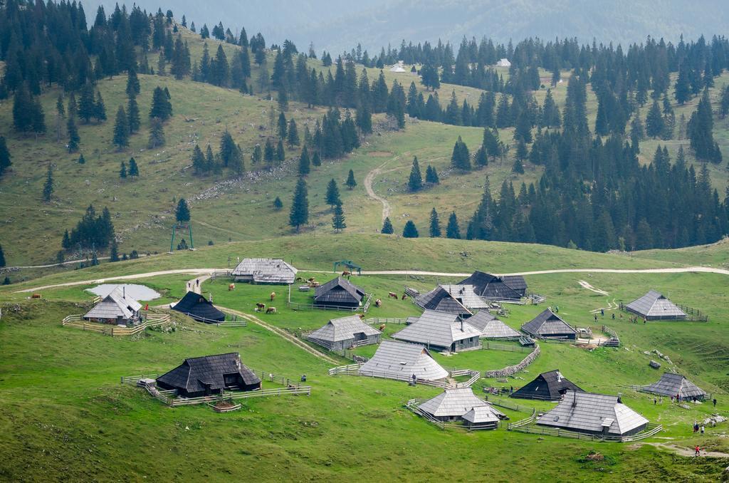 Chalet Tisa Velika Planina Stahovica Habitación foto