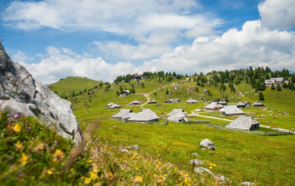 Chalet Tisa Velika Planina Stahovica Habitación foto