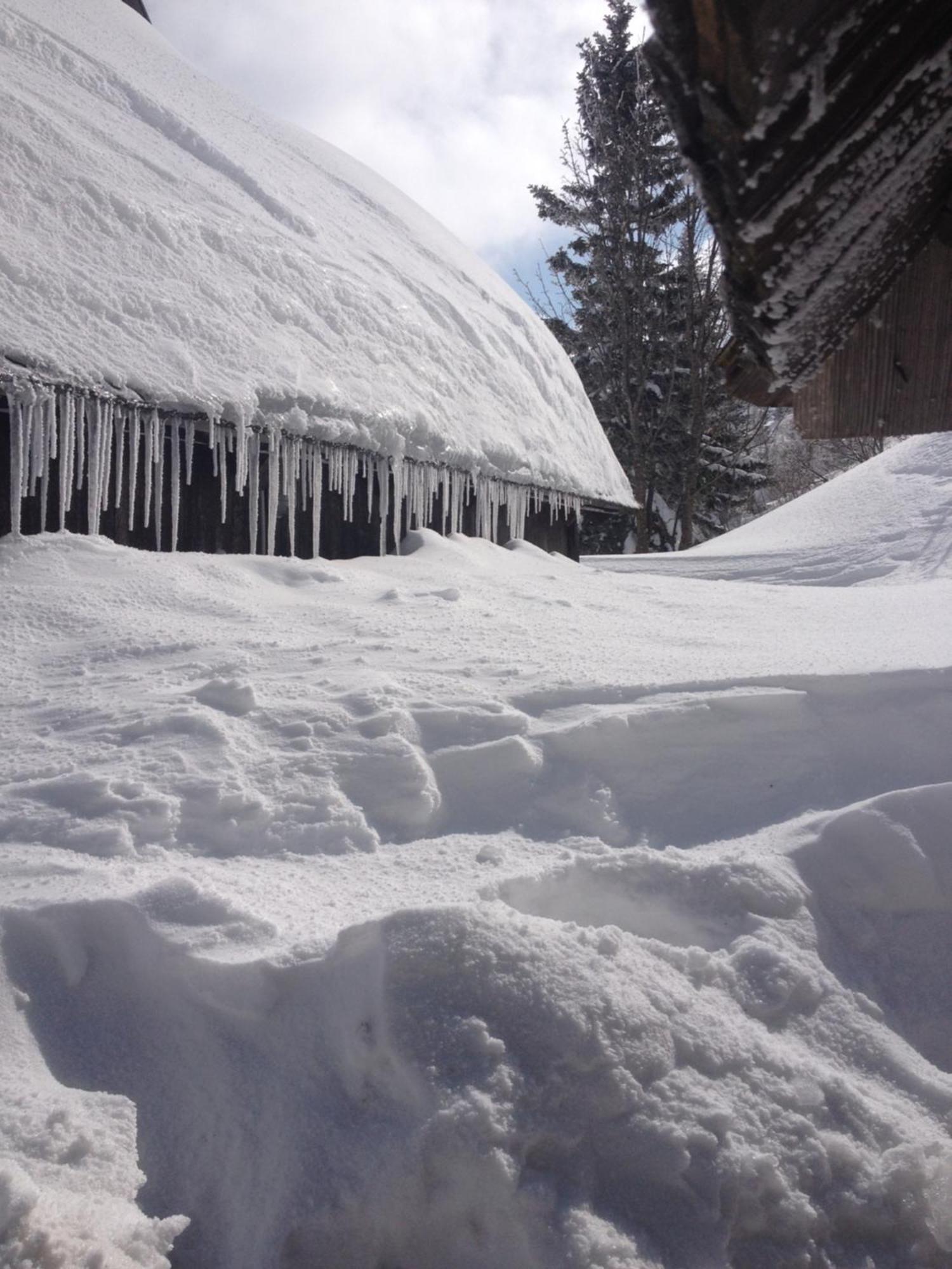 Chalet Tisa Velika Planina Stahovica Exterior foto