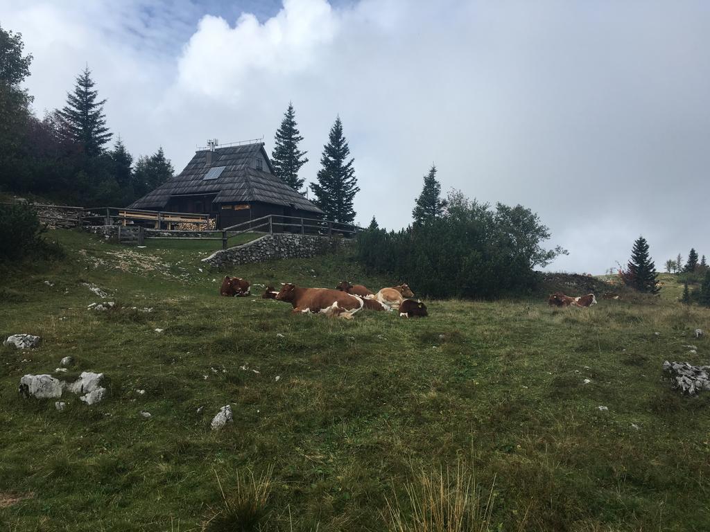 Chalet Tisa Velika Planina Stahovica Exterior foto