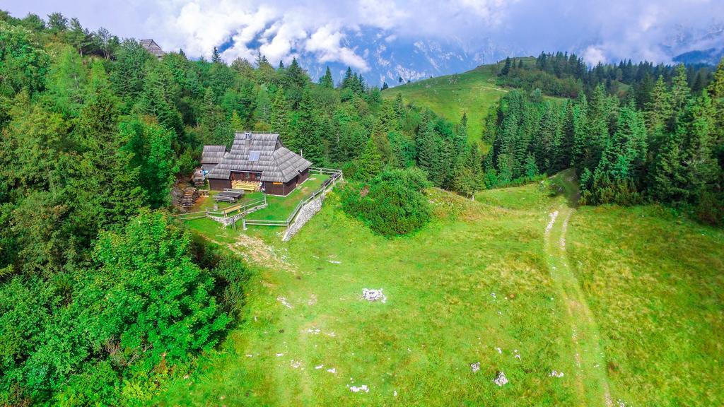 Chalet Tisa Velika Planina Stahovica Exterior foto