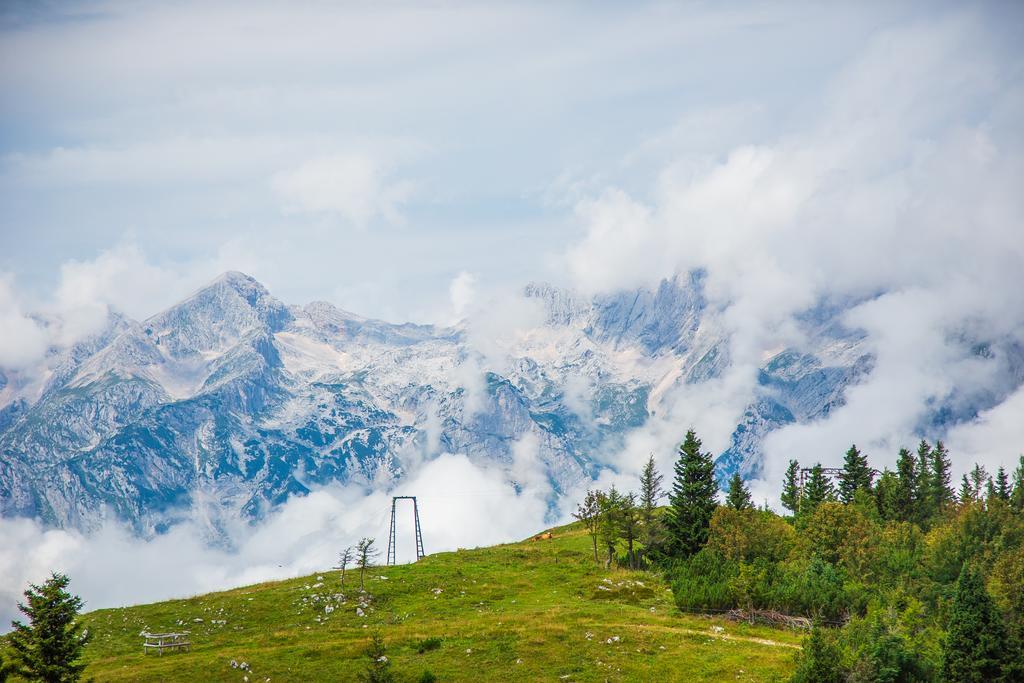 Chalet Tisa Velika Planina Stahovica Exterior foto