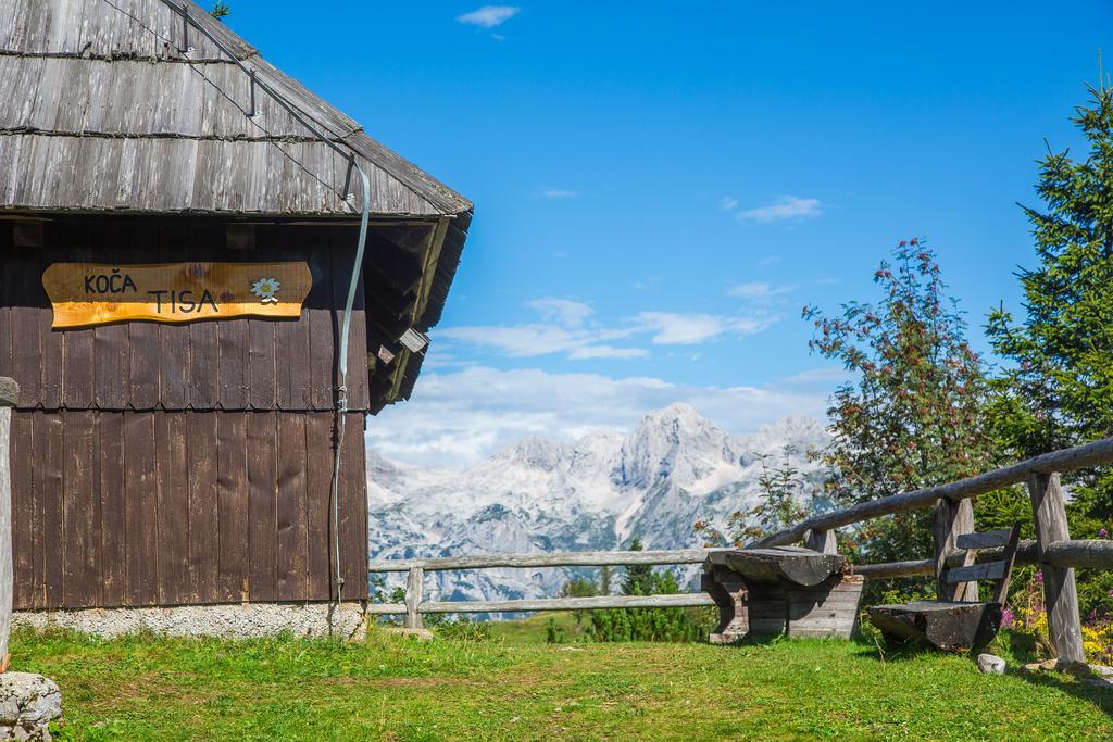 Chalet Tisa Velika Planina Stahovica Exterior foto